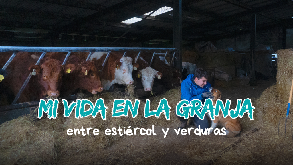 Jaime Sargot - Proyectos Audiovisuales - Mi vida en la granja